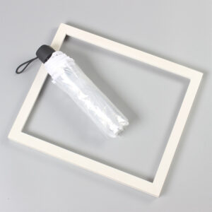 full transparent umbrella