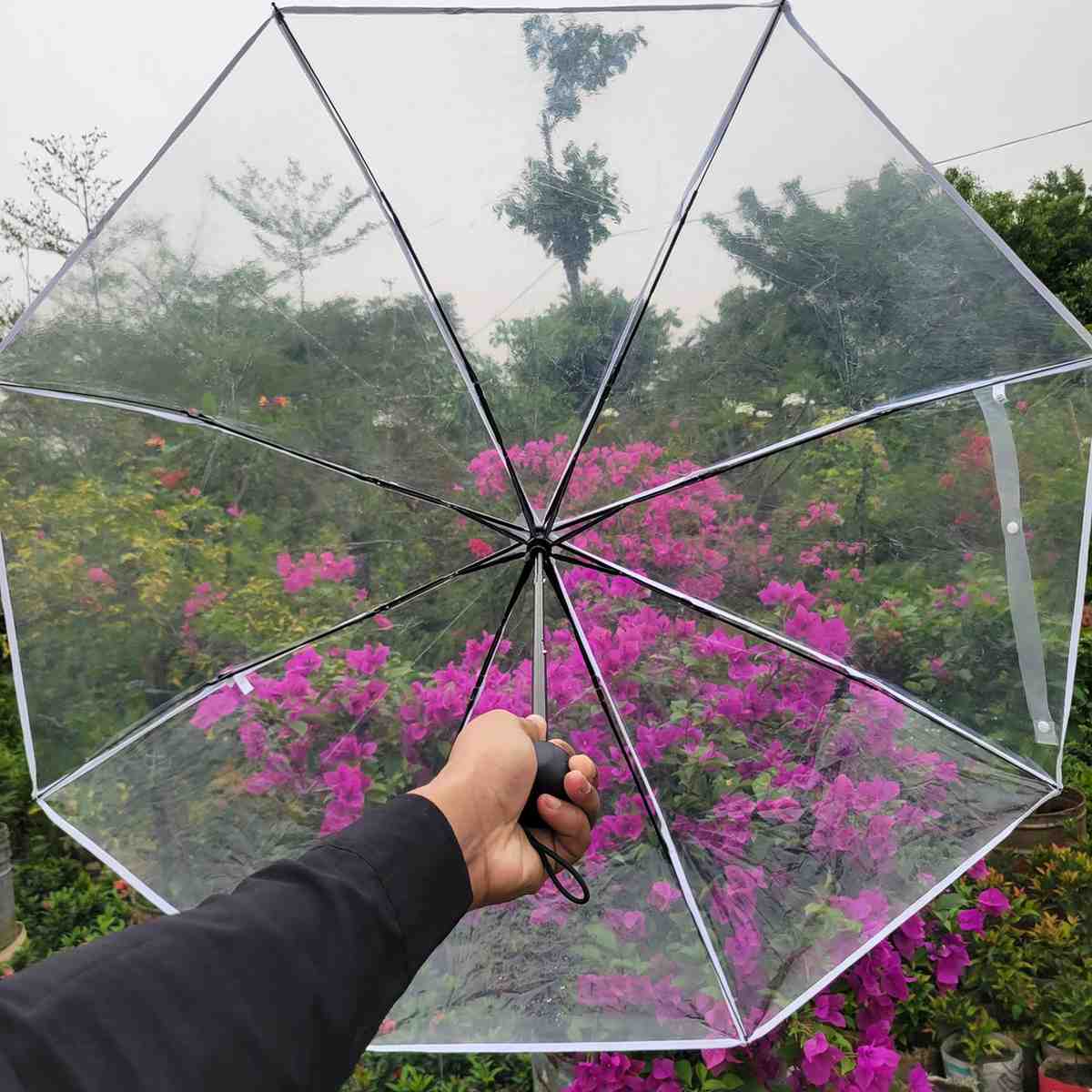 ট্রান্সপারেন্ট ছাতা স্টাইল