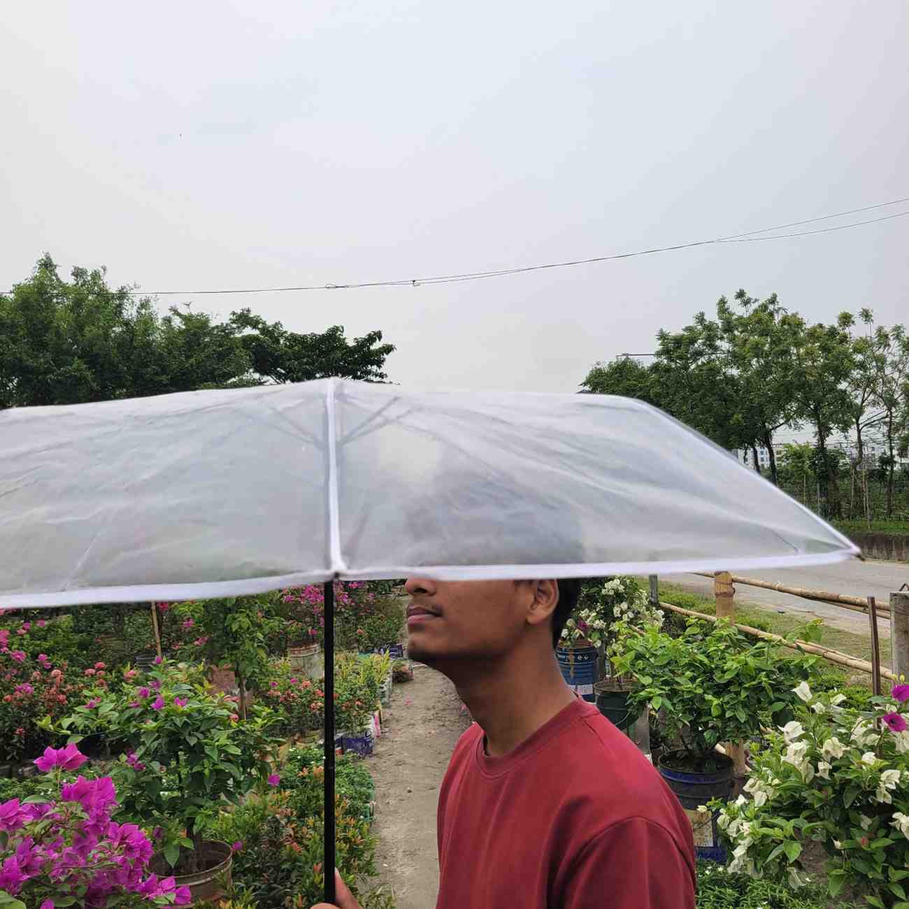 ট্রান্সপারেন্ট ছাতা বাইরে