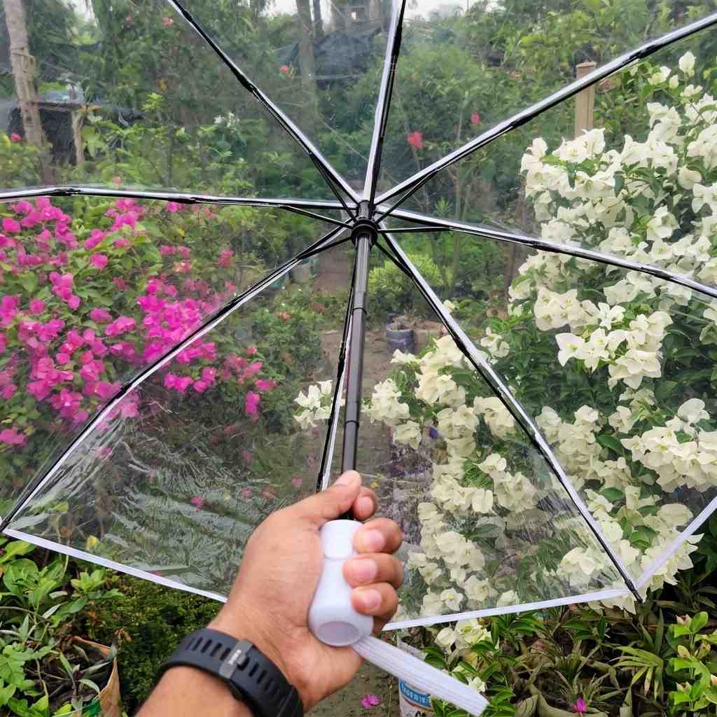 ট্রান্সপারেন্ট ছাতা ক্লোজআপ